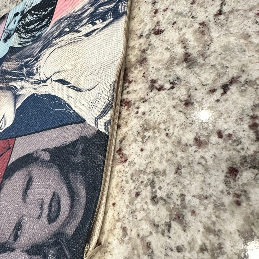 NWOT Taylor Swift inspired Pillow Case 18x18